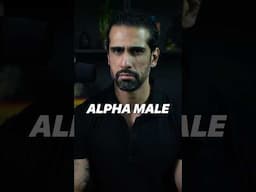 How To Become ALPHA MALE ?