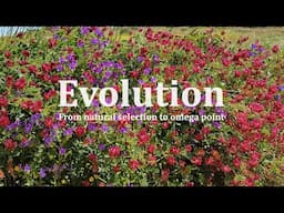 Evolution. From natural selection to omega point. A conversation with Rupert Sheldrake