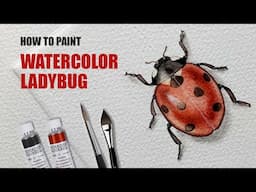 Ladybug watercolour illustration ✎ CurtisSheeran - #wetonwet #watercolor