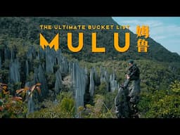 MULU - Malaysia's Hidden Gem You Must Visit