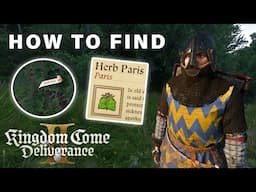 Where to Find Herb Paris ► Kingdom Come Deliverance 2