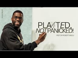 Planted, Not Panicked I Robert Madu I Social Dallas