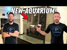 Unboxing & Setting Up My New TALL Custom Aquarium! (Part 1)