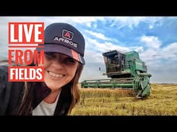 🔴LIVE FROM FIELDS - RICE HARVESTING WITH ARBOS 1000