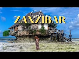 Solo in Zanzibar: A Dreamy Week of Beaches, Wildlife & Adventure