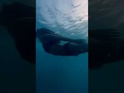 Pov: you go diving in the Philippines 🇵🇭#shorts #philippines #cebu #moalboal #freediving