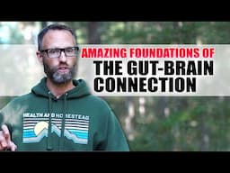 The Gut Brain Connection Can Change Your Life - Foundations