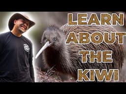 The Kiwi Rangers of The West Coast!