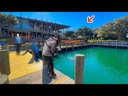 Pier Fishing Behind Giant Restaurant For Dinner! *Best of the Year*