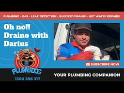 Draino disaster with Topdog Darius - Plumbdog Plumbing Perth #drainunblocking #blockeddrains #perth