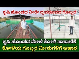 ಕೃಷಿ ಹೊಂಡ ಮೇಲೆ ಕೋಳಿ ಸಾಕಾಣಿಕೆ  | integrated fish and poultry farming kannada | double firmers income