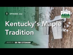 Kentucky's Maple Syrup Tradition - From the Woods Today - Episode 232