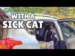 She Puked On My BED!! | solo female car camping