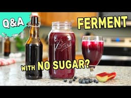 Fermented drinks with no sugar? 🍺 FERMENTATION Q&A