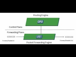 Junos Fundamentals : RE and PFE