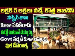 Jamuna Pari goat farming in Telugu | Best Goat Breed in Telugu | Goat Farming Profits #moneyfactory