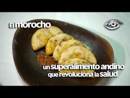 El morocho, un superalimento andino que revoluciona la salud - Día a Día - Teleamazonas