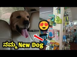 My New Dog | mini Vlog | Dog | Pet care kannada