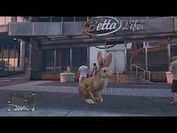 GTA5 Online: Glitch big lapin couine couine en online