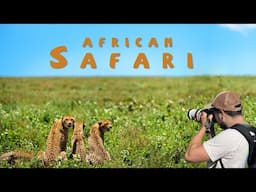 Safari of a Lifetime | Serengeti & Bwindi Cinematic