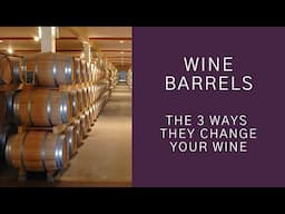 Wine Barrels: The 3 ways they change your wine