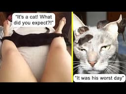 Hilarious Cat Posts You Have to See Right Meow (New)