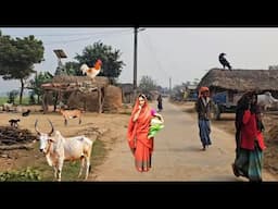 The Beauty of Simplicity: A Day in an Indian Village | The Secret Life of an Indian Village