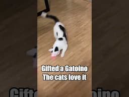 Gifted a Gatoino - The cats love it