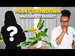 Who Grew It BIGGER? Philodendron vs. Pothos Challenge!