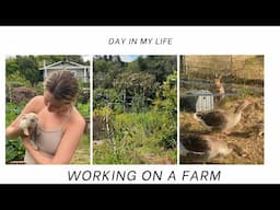 day in the life working on a regenrative farm