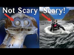 What's REALLY scary in the sea (and what's not)