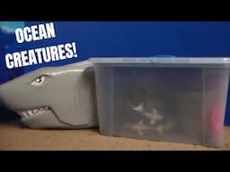 MEGA Ocean Toy Tub SHARK BUCKET TOY REVIEW! Whales Sharks Fish Orca Hammer Head Shark