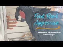 Food bowl aggression in parrots