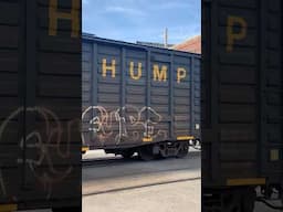 Do Not Hump Boxcar!  CSX Track Inspection Car, JawTooth shorts