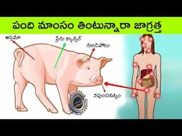 Health benifits of eating pig | Health benifits of eating pork | health tips in Telugu | BMC Facts