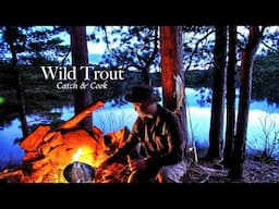 6 Days WILD TROUT Fishing & Camping in a World Class Wilderness Park - Bushcraft Catch & Cook