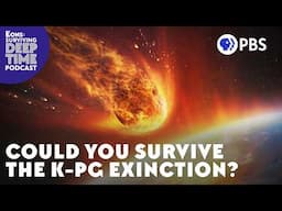 Could You Survive The K-Pg Extinction?