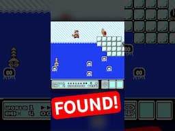 Hidden Levels Found in Super Mario Bros 3!