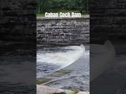 Caban Coch Dam.   #travel #Wales #caban coch