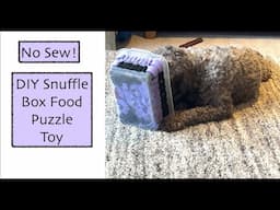 DIY Snuffle Box - Food Puzzle toy for Dogs