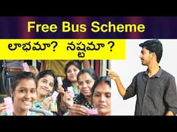 Is Free Bus Scheme Correct or Wrong