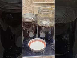 “How do you preserve your DIY maple syrup?!?”    #homestead #maplesyrup #canning #foodpreservation