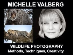 Best Wildlife  Photography Course  Behind The Scenes to Learn Field Methods, Techniques & Creativity