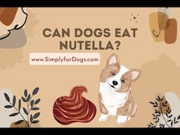 Can Dogs Eat Nutella