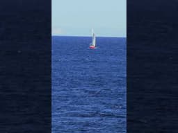 Sailboat off the coast of Vancouver Island