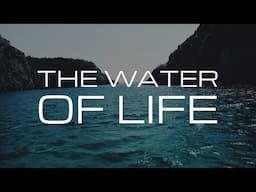 THE WATER OF LIFE