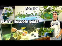 *Aquarium Plant Holder* | Pothos in Aquarium | Easy way to make plant holders for aquarium