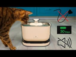 The Best Way To Keep Your Cats Hydrated - Petlibro Dockstream Cordless Pet Fountain