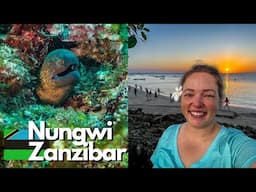 Scuba Diving In Nungwi Zanzibar for a WEEK! Tips/tricks for Diving in Tanzania