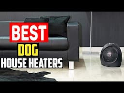 ✅Top 5 Best Dog House Heaters in 2025